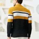 Men Collared Neck Sweater Color Yellow & black