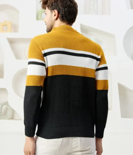 Men Collared Neck Sweater Color Yellow & black